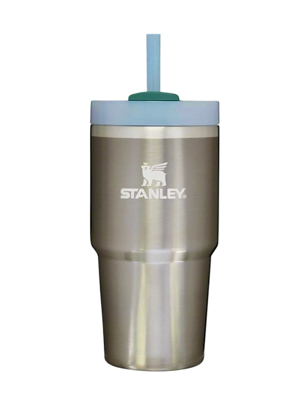 Stanley The Quencher H2.O FlowState Tumbler 20oz in Stainless Steel Shale NWOT
